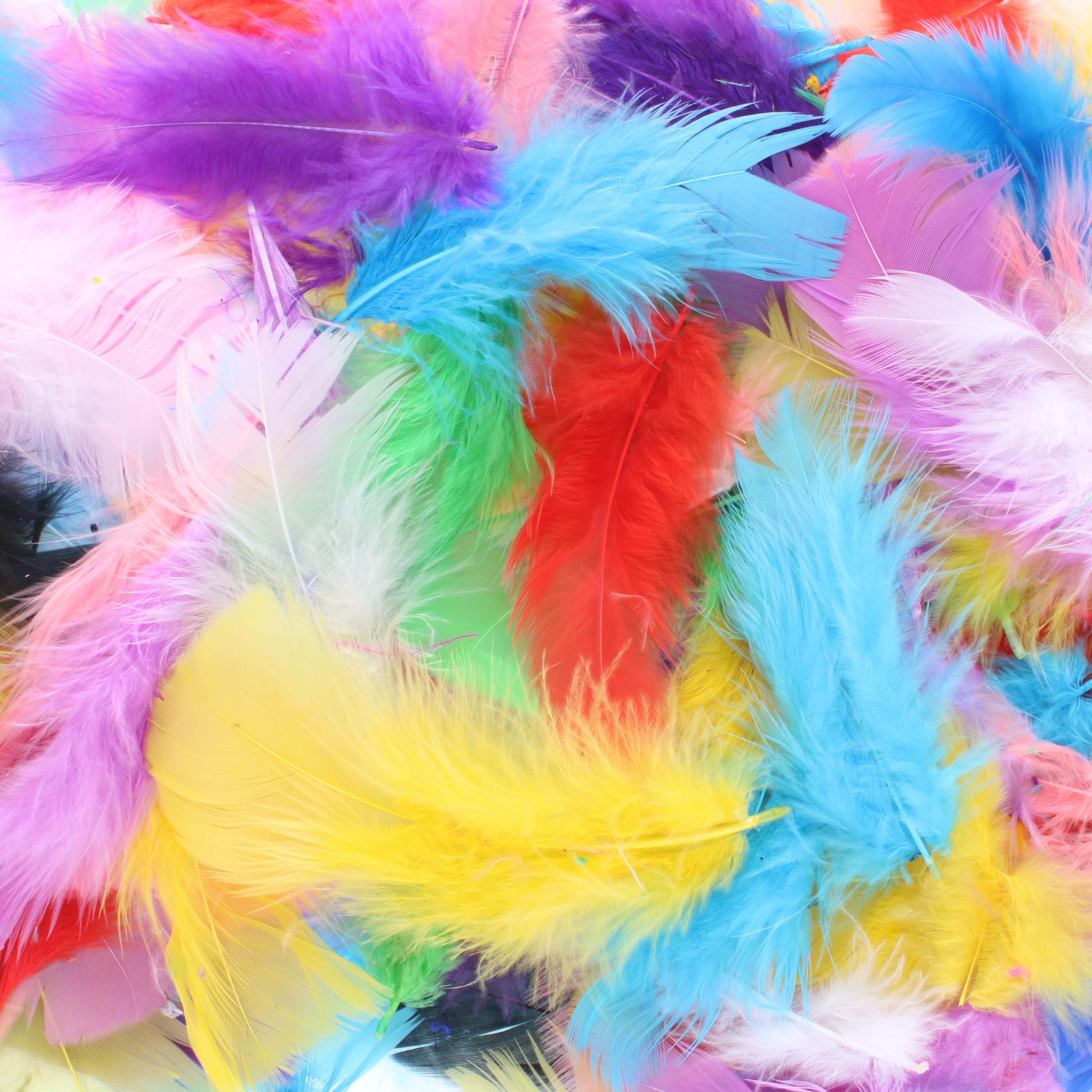 Feathers