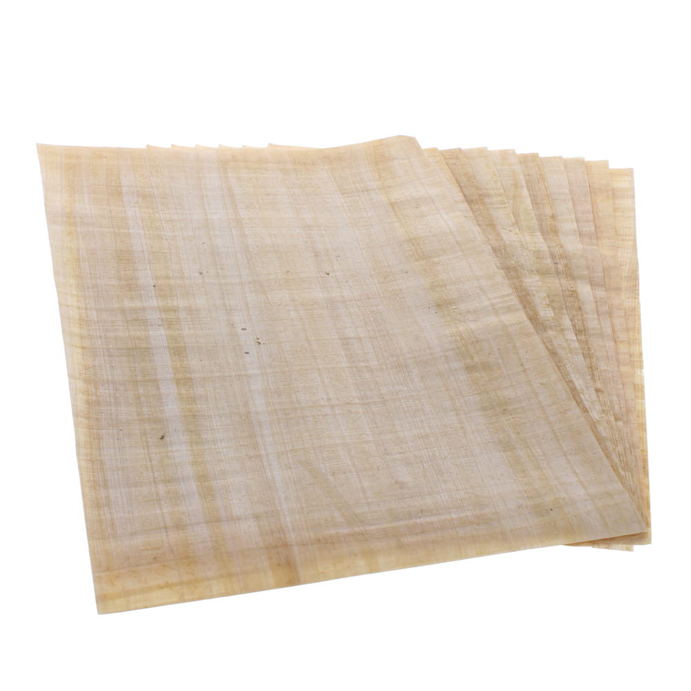 Papyrus
