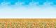 Fadeless Poster Display Roll Autumn Horizons - 1218mm x 15m